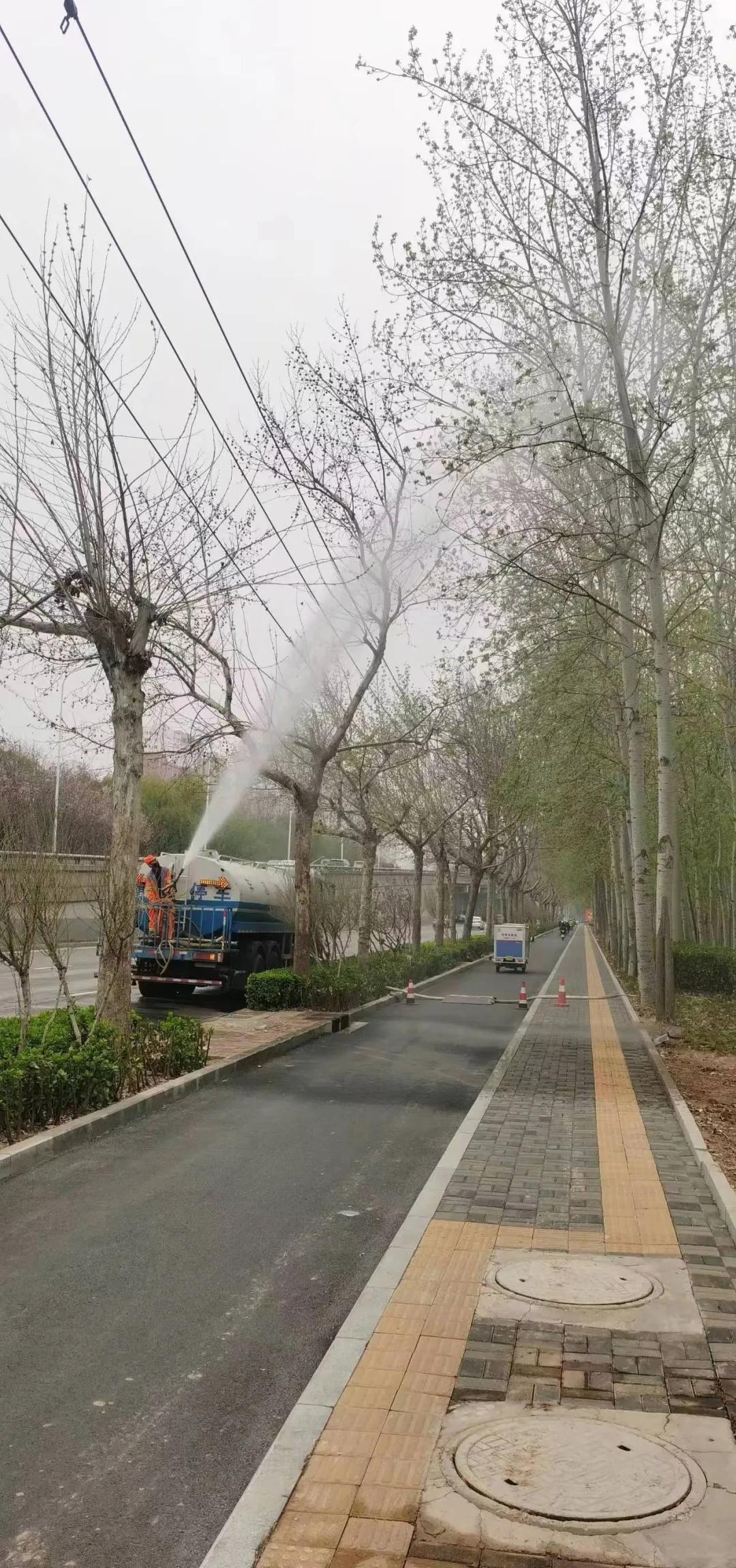 市城管综合行政执法局二环路管护中心多措并举对杨柳飘絮进行治理